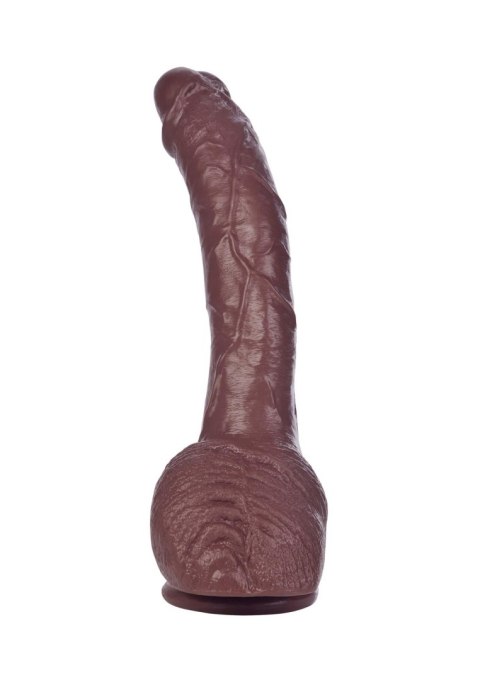 Realistyczne dildo Calexotics COLT Adam Dexter brązowe 21.5 cm