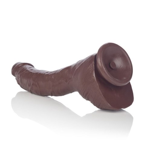 Realistyczne dildo Calexotics COLT Adam Dexter brązowe 21.5 cm