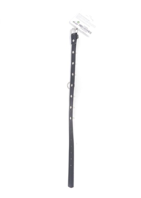Obroża z ćwiekami Fetish B Series regulowana 2 cm