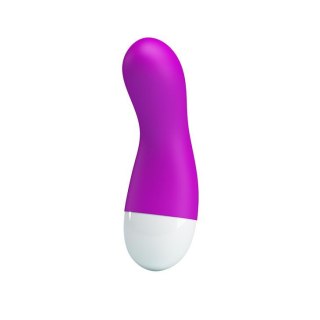 Wibrator mini Ian Pretty Love fioletowy silikonowy USB 30 funkcji