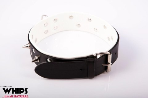 Obroża męska skórzana ze smyczą Whips Collection biała