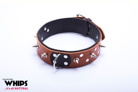 Skórzana obroża męska Whips Collection koniakowa ze smyczą