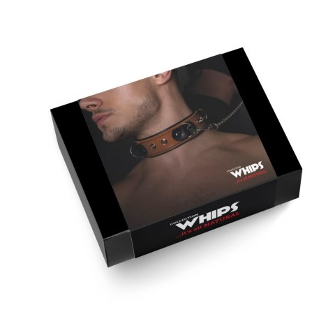 Skórzana obroża męska Whips Collection koniakowa ze smyczą