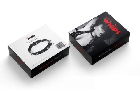 Obroża damska z kolcami Whips Collection czarna