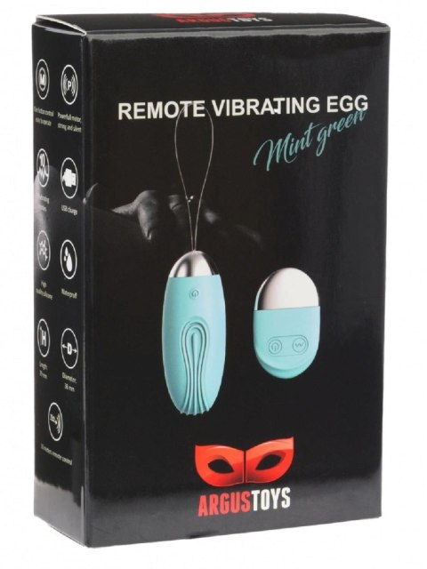 Wibrujące jajko zdalne Argus miętowozielone USB 8 cm
