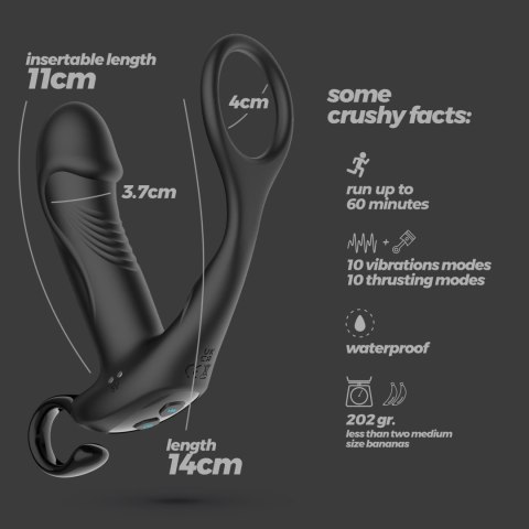 Masażer prostaty Crushious Magoo z pierścieniem i pilotem USB 14 cm