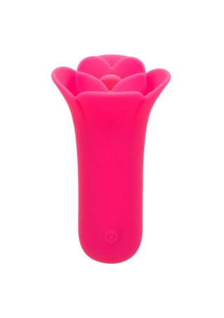 Stymulator łechtaczki Calexotics Lily Licker Mini różowy USB 9,5 cm