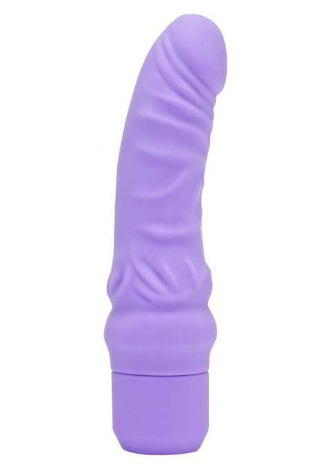 Wibrator realistyczny ToyJoy Mini Classic fioletowy 18 cm