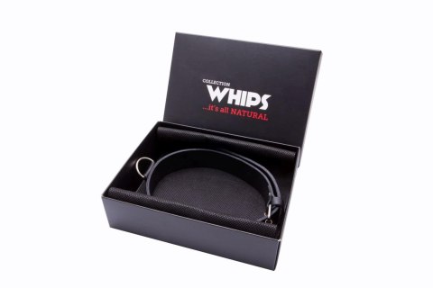Obroża męska wąska Whips Collection skórzana 3 cm