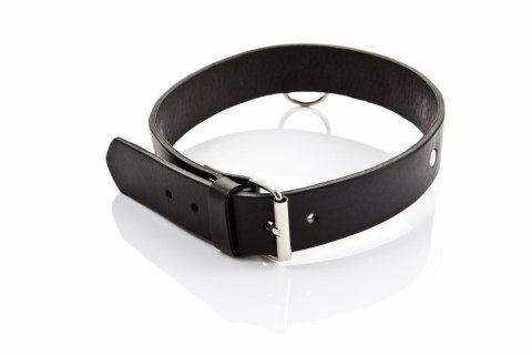 Obroża męska wąska Whips Collection skórzana 3 cm