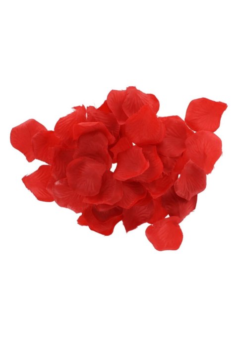 Zestaw startowy BDSM ToyJoy czarny