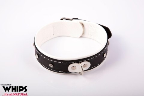 Obroża damska Whips Collection biała 4 cm