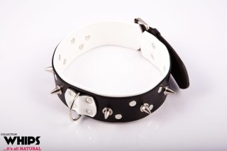 Obroża męska skórzana ze smyczą Whips Collection biała