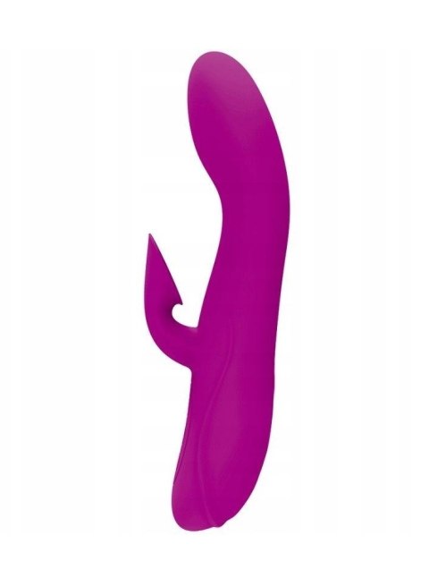 Wibrator króliczek Pretty Love Desirable Flirt silikonowy 12 funkcji USB