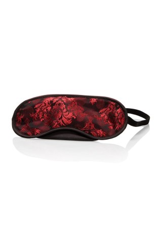 Zestaw fetyszowy Scandal Beginner Calexotics silikonowy