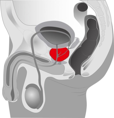 Masażer prostaty Twister You2Toys silikonowy obrotowy 21 cm