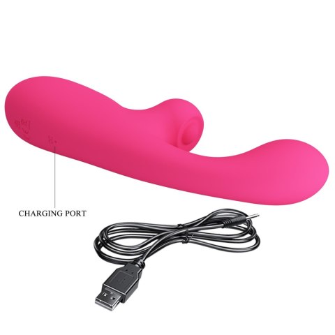 Wibrator króliczek Pretty Love Skylar silikonowy różowy USB