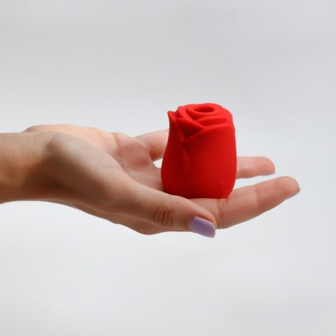 Stymulator łechtaczki z językiem Crushious Rosita silikonowy USB 6 cm