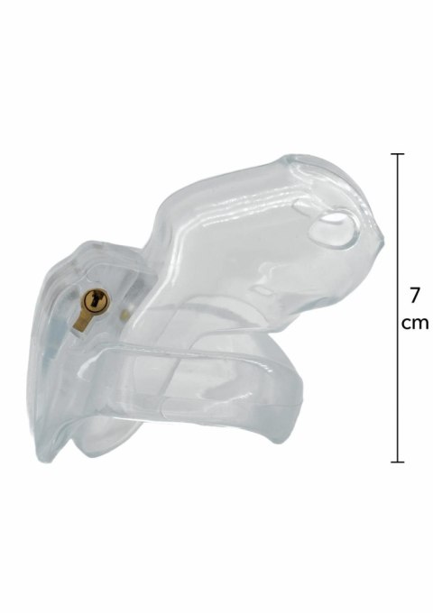 Pas cnoty transparentny stalowy Hidden Desire 4.5 cm