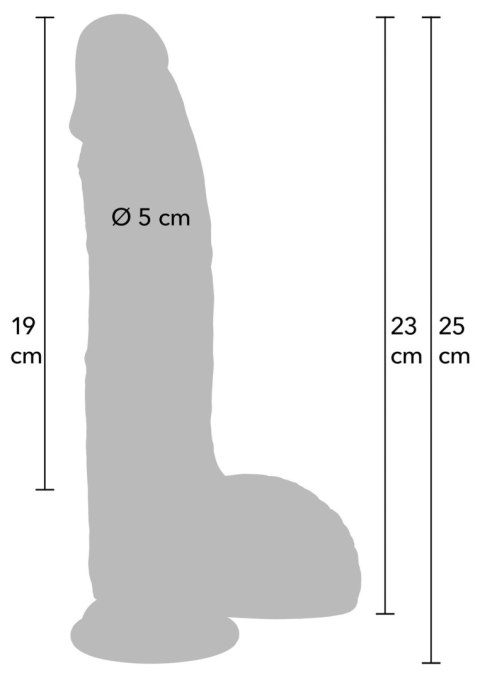 Realistyczne dildo silikonowe Hidden Desire 23 cm
