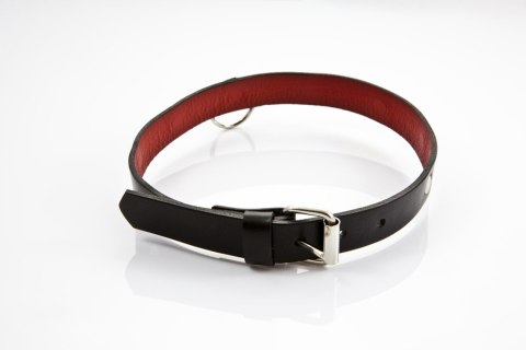 Obroża damska Whips Collection skórzana cienka 2 cm regulowana