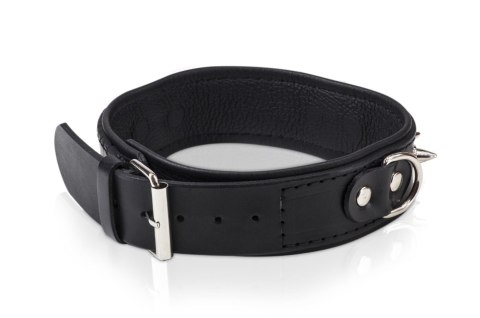Obroża męska Whips Collection z półkółkami i smyczą